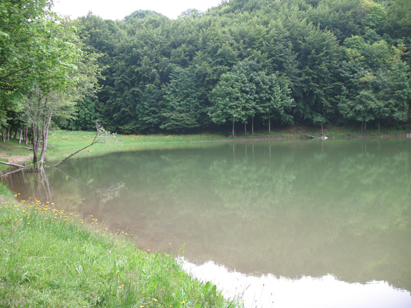 Laghi .....della TOSCANA